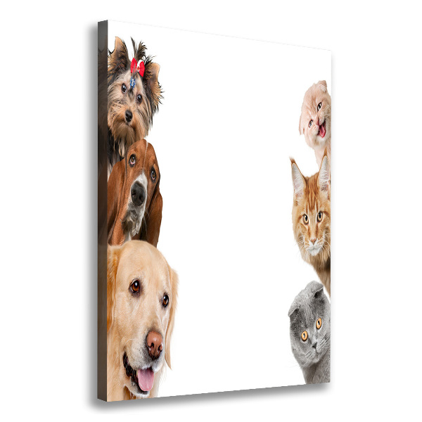 Wandbild vertikales Hunde und Katzen