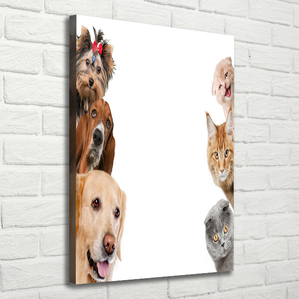Wandbild vertikales Hunde und Katzen