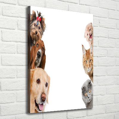 Wandbild vertikales Hunde und Katzen