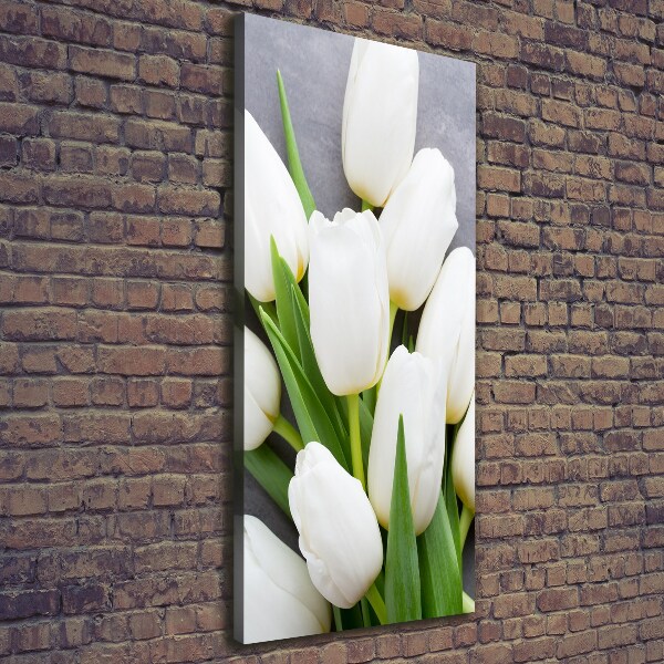 Foto leinwand vertikales Weiße Tulpen