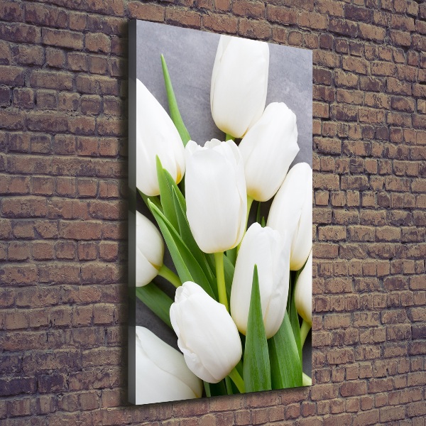 Foto leinwand vertikales Weiße Tulpen