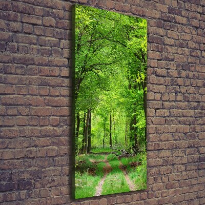 Foto leinwand vertikales Grüner Wald