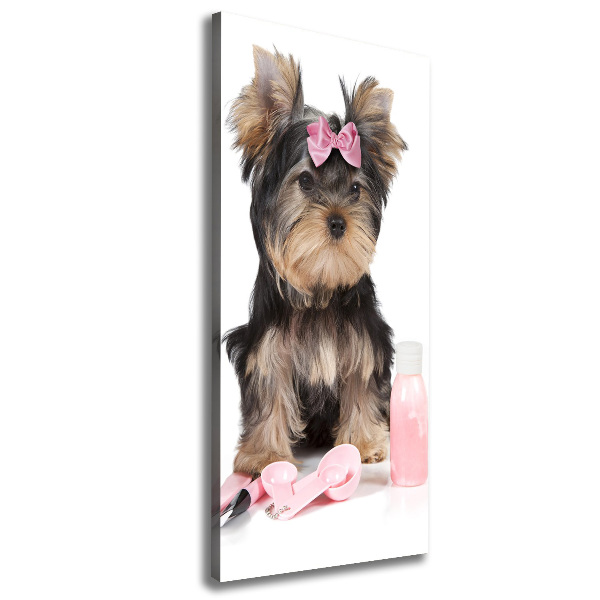 Foto auf leinwand vertikales Yorkshire Kosmetik