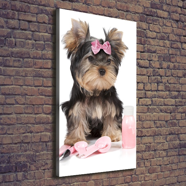 Foto auf leinwand vertikales Yorkshire Kosmetik