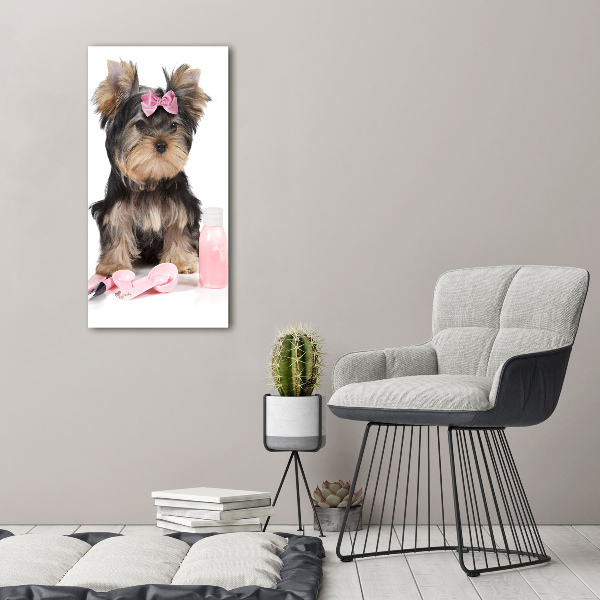 Foto auf leinwand vertikales Yorkshire Kosmetik