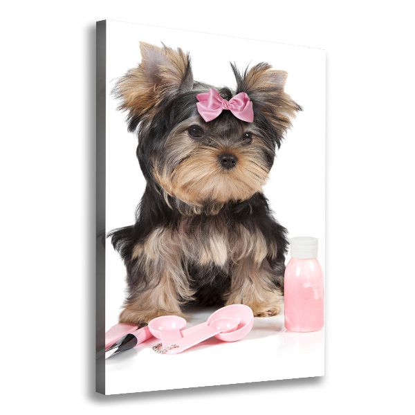 Foto auf leinwand vertikales Yorkshire Kosmetik