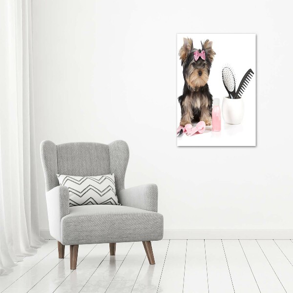 Foto auf leinwand vertikales Yorkshire Kosmetik