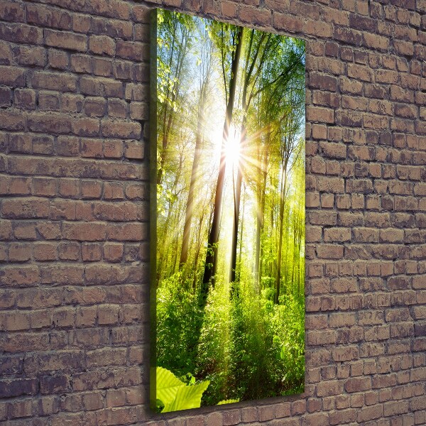 Foto auf leinwand vertikales Die Sonne im Wald