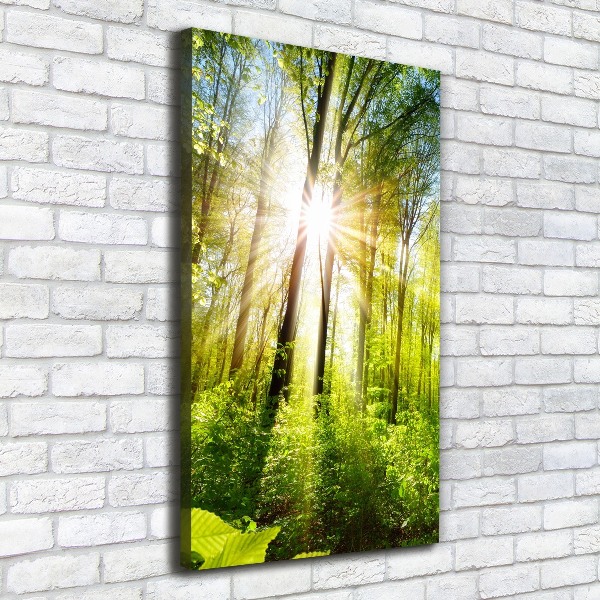 Foto auf leinwand vertikales Die Sonne im Wald