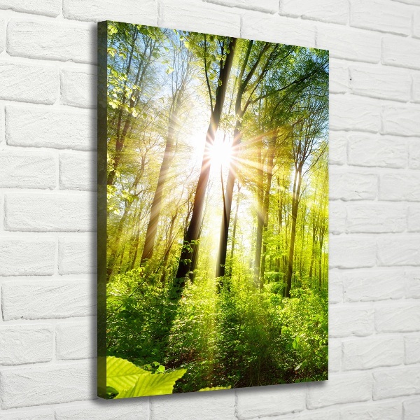 Foto auf leinwand vertikales Die Sonne im Wald