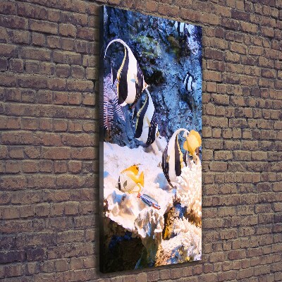 Foto leinwand vertikales Korallenriff