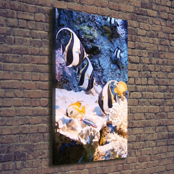 Foto leinwand vertikales Korallenriff