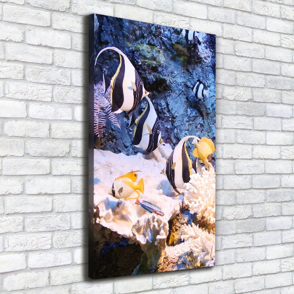 Foto leinwand vertikales Korallenriff