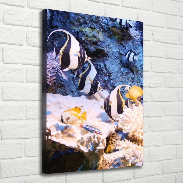 Foto leinwand vertikales Korallenriff