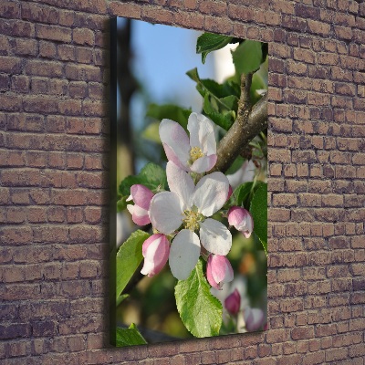 Wandbild vertikales Kirschblüten