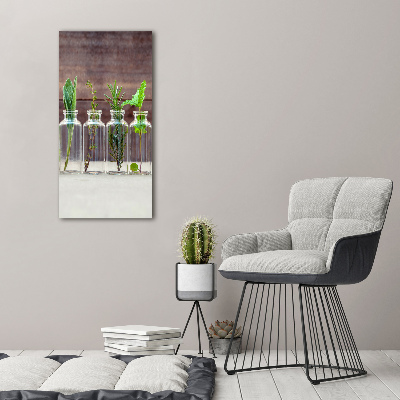 Foto auf leinwand vertikales Kräuter im Glas