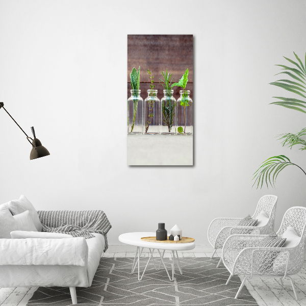 Foto auf leinwand vertikales Kräuter im Glas