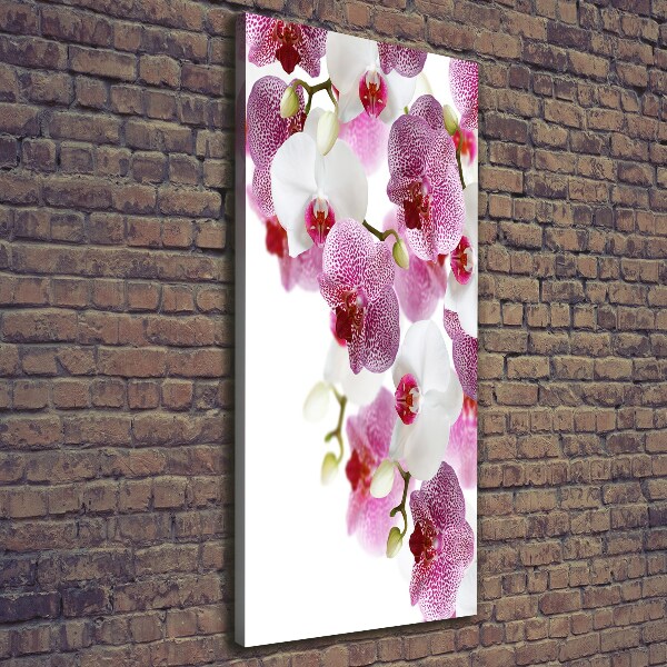 Foto auf leinwand vertikales Orchidee