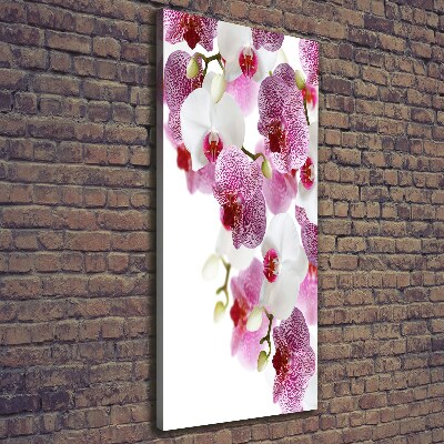Foto auf leinwand vertikales Orchidee