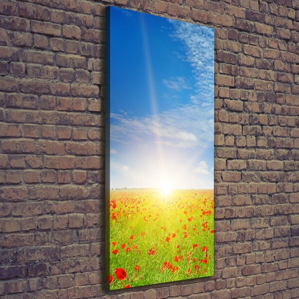 Foto leinwand vertikales Mohnfeld