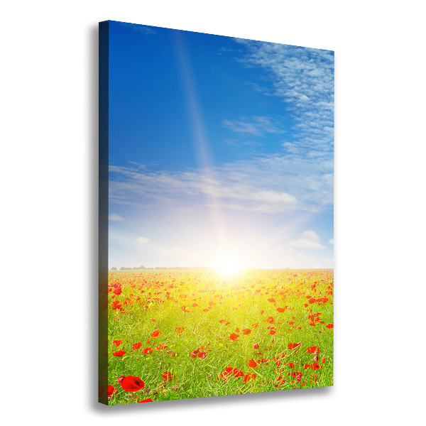 Foto leinwand vertikales Mohnfeld