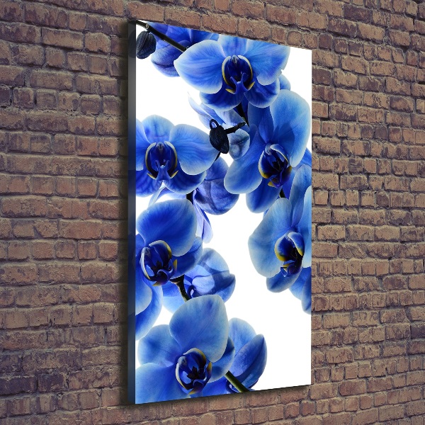 Foto auf leinwand vertikales Blaue Orchidee