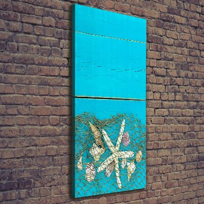 Foto leinwand vertikales Muscheln und Seesterne