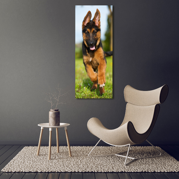 Foto leinwand vertikales Deutscher Schäferhund