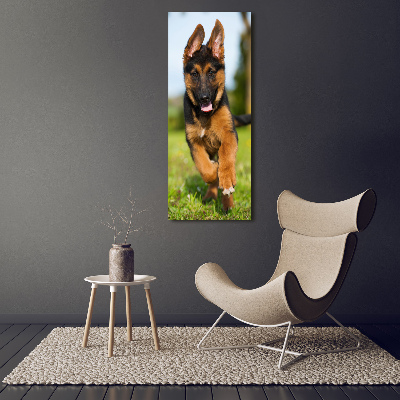 Foto leinwand vertikales Deutscher Schäferhund