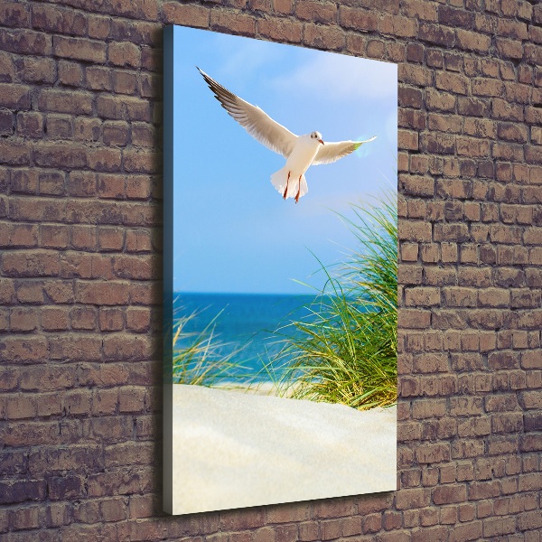 Foto leinwand vertikales Möwe über den Dünen