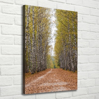 Foto leinwand vertikales Birkenwald