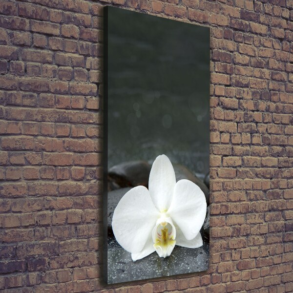 Foto leinwand vertikales Orchideensteine