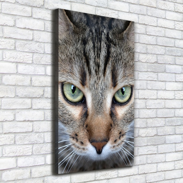 Foto auf leinwand vertikales Katzenaugen