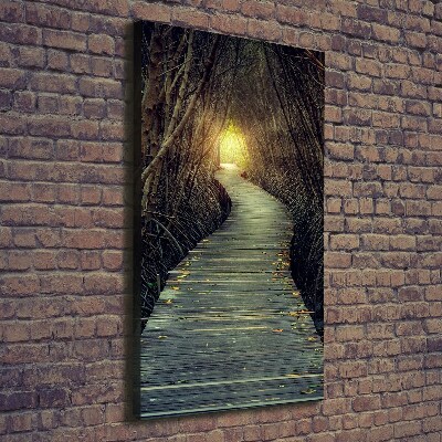 Foto leinwand vertikales Pfad im Wald