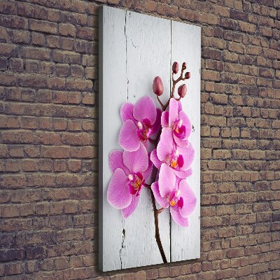 Foto auf leinwand vertikales Rosa Orchidee