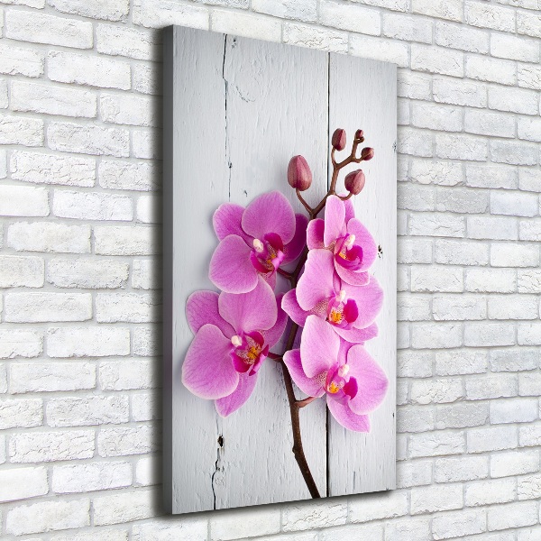 Foto auf leinwand vertikales Rosa Orchidee