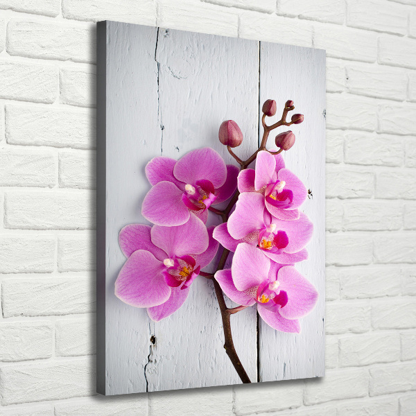 Foto auf leinwand vertikales Rosa Orchidee