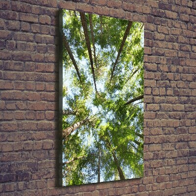 Foto auf leinwand vertikales Baumkrone