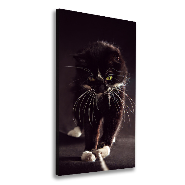 Foto leinwand vertikales Schwarze Katze
