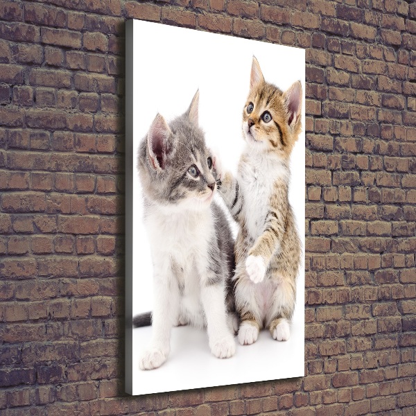 Wandbild vertikales Zwei kleine Katzen