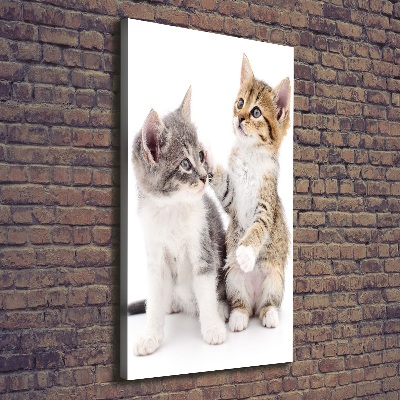 Wandbild vertikales Zwei kleine Katzen