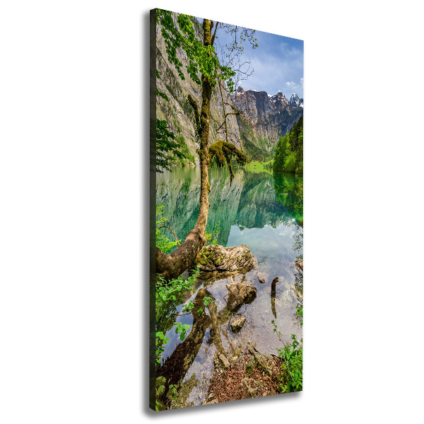 Wandbild vertikales See in den Bergen