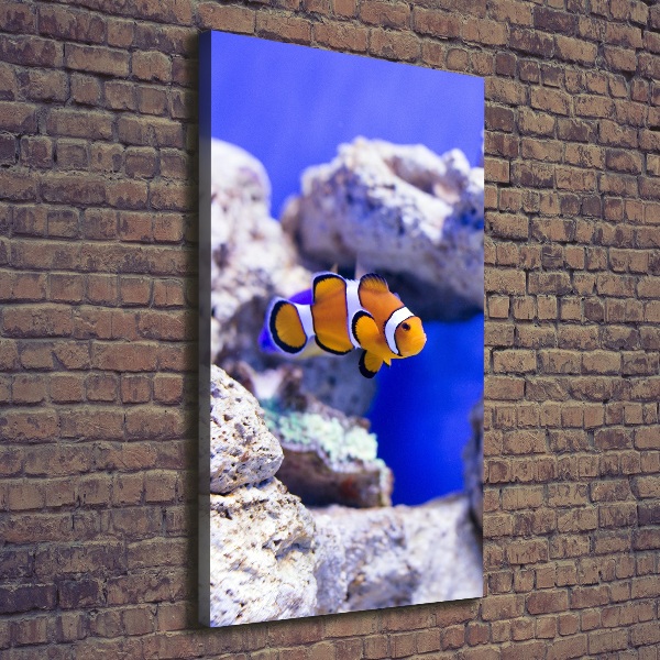 Foto auf leinwand vertikales Nemo der Fisch