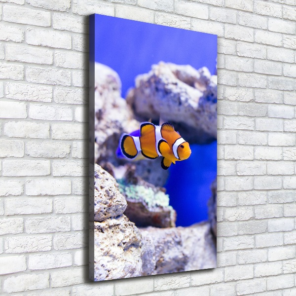 Foto auf leinwand vertikales Nemo der Fisch