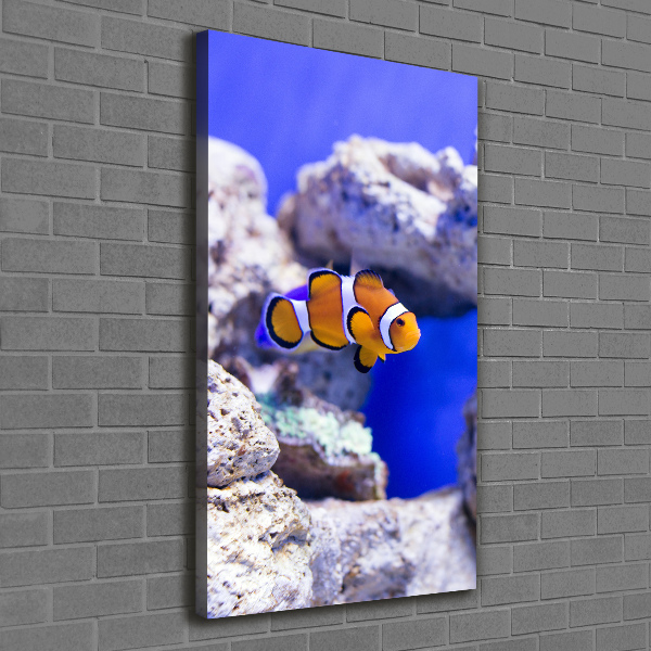 Foto auf leinwand vertikales Nemo der Fisch
