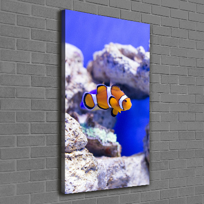 Foto auf leinwand vertikales Nemo der Fisch