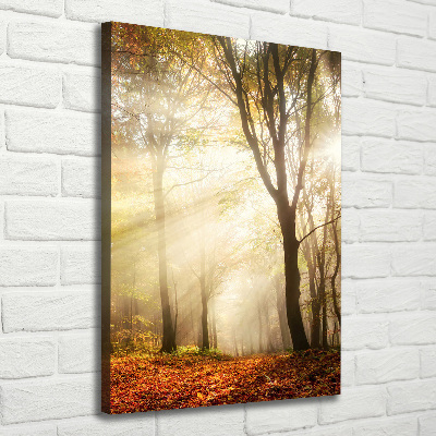 Wandbild vertikales Wald im Herbst