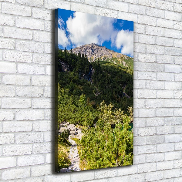 Foto leinwand vertikales Das Meeresauge der Tatra-Berge