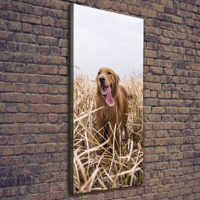Foto leinwand vertikales Golden Retriever