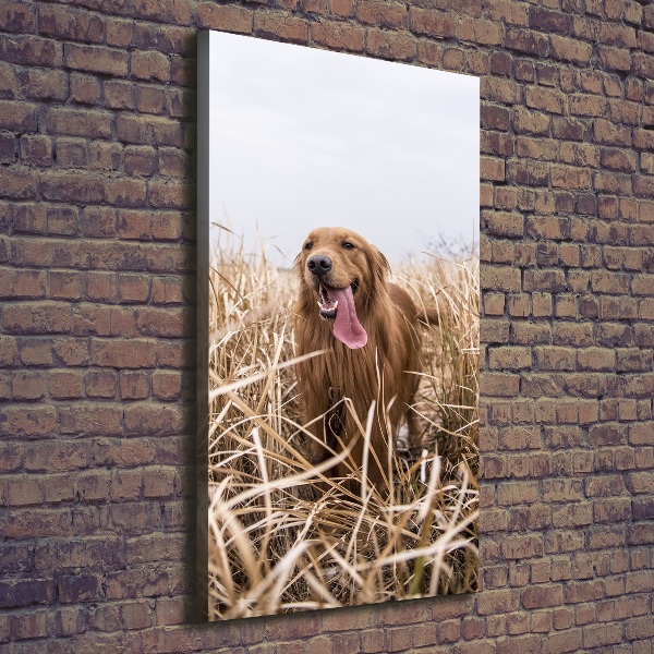 Foto leinwand vertikales Golden Retriever
